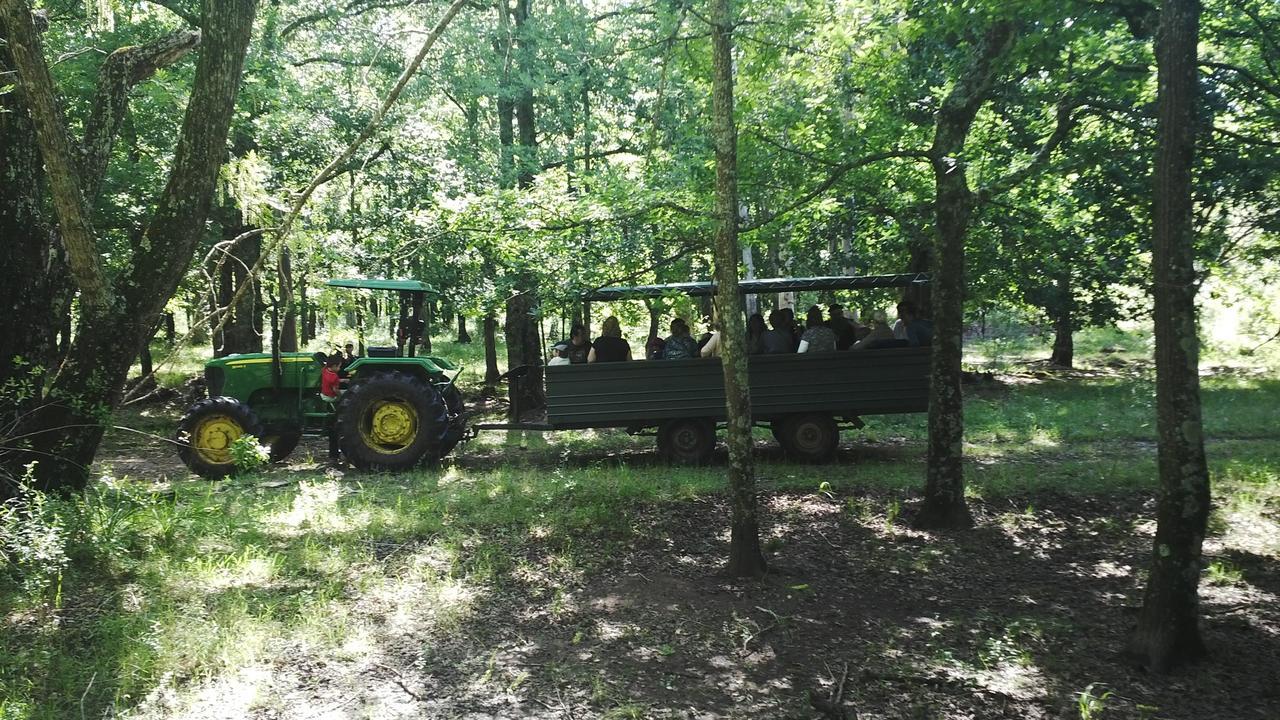 Estancia Turistica San Pedro De Timote Reboledo Luaran gambar